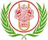 Logo for New York Satsang Mandal (ISSO)